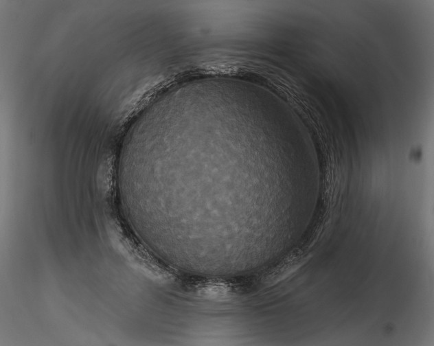 X0000116850600201001051508