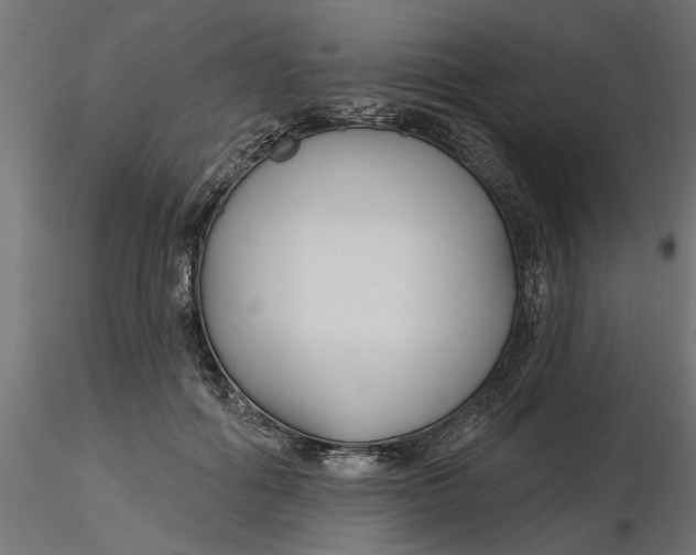 X0000116850602201001051508