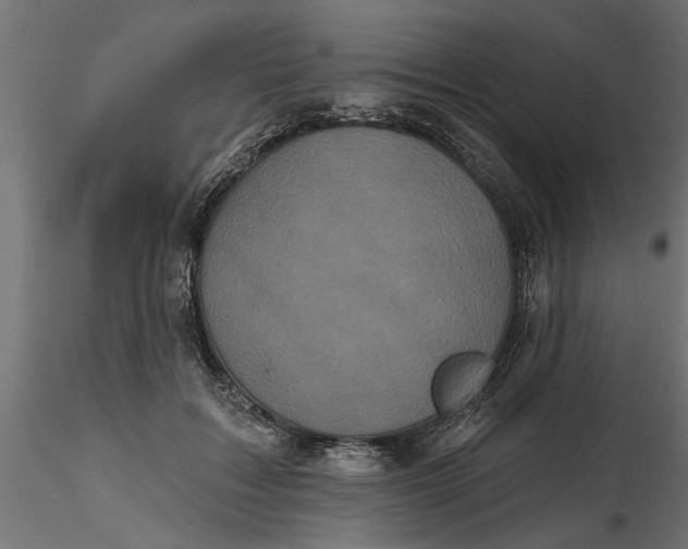 X0000116850603201001051508