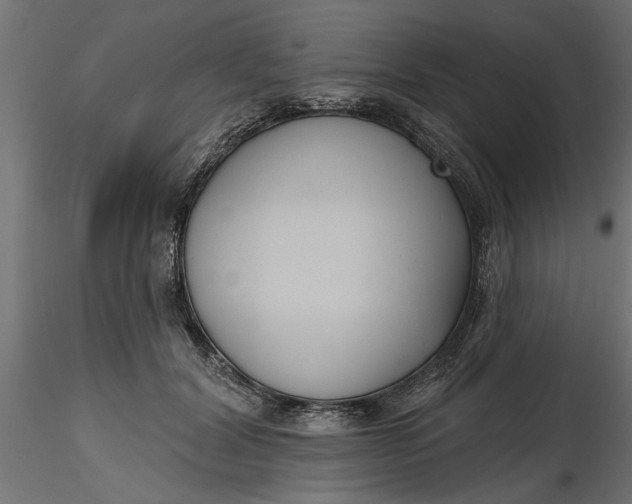 X0000116850604201001051508