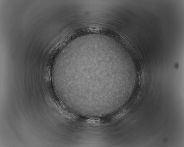 X0000116850606201001051507