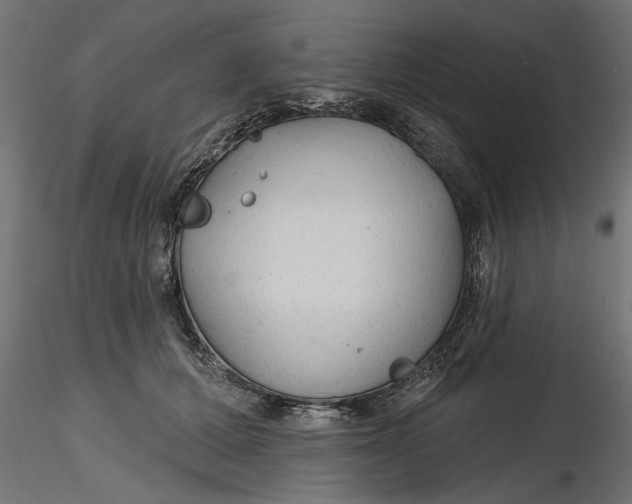 X0000116850607201001051507