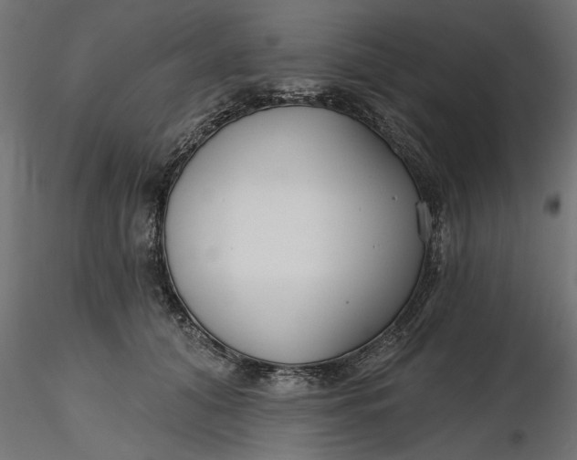 X0000116850608201001051507