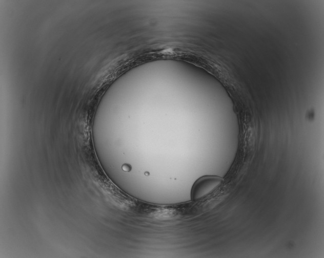 X0000116850609201001051507