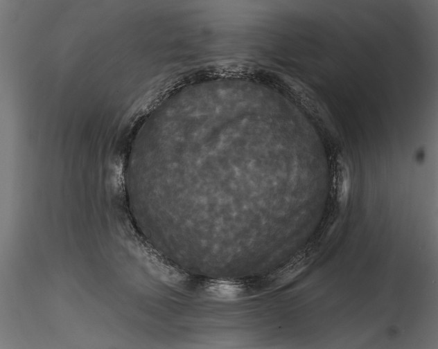 X0000116850610201001051507