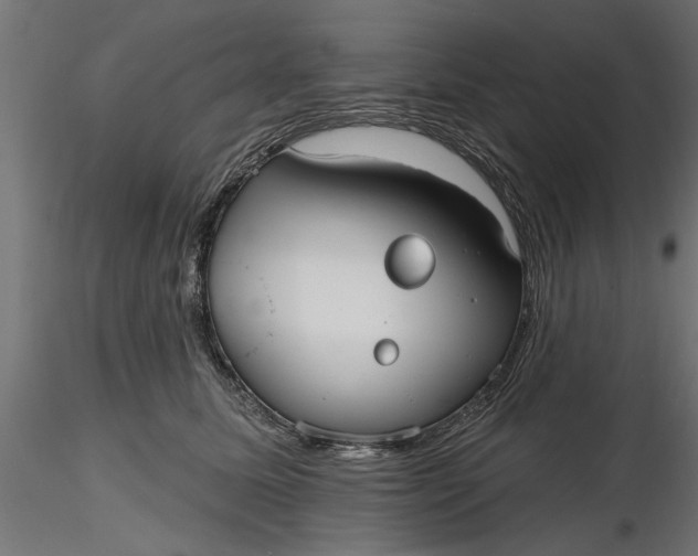 X0000116850611201001051507