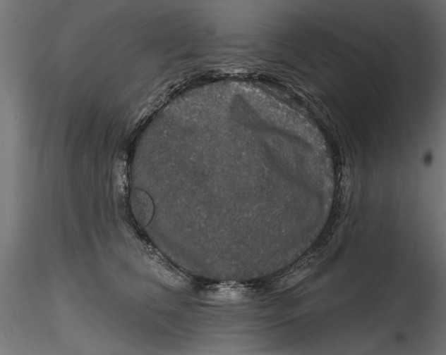 X0000116850612201001051507