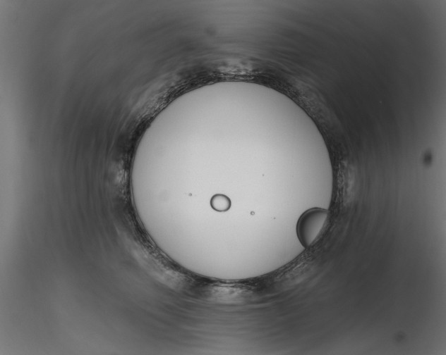 X0000116850614201001051507