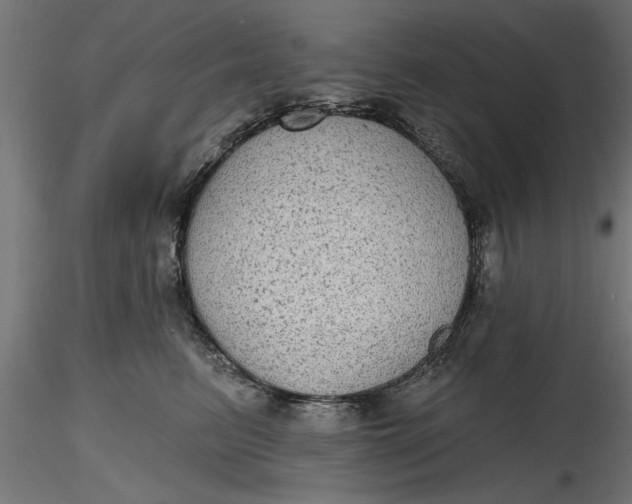 X0000116850615201001051507