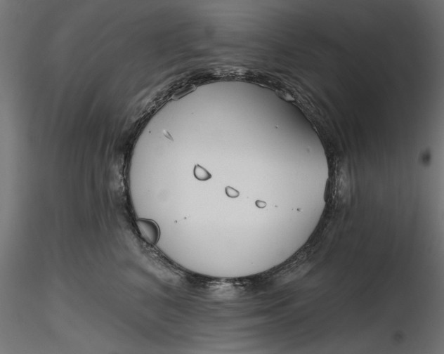 X0000116850616201001051507