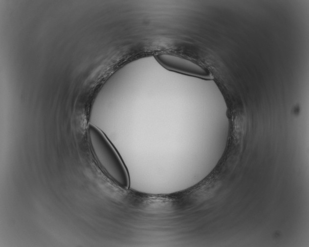 X0000116850617201001051507