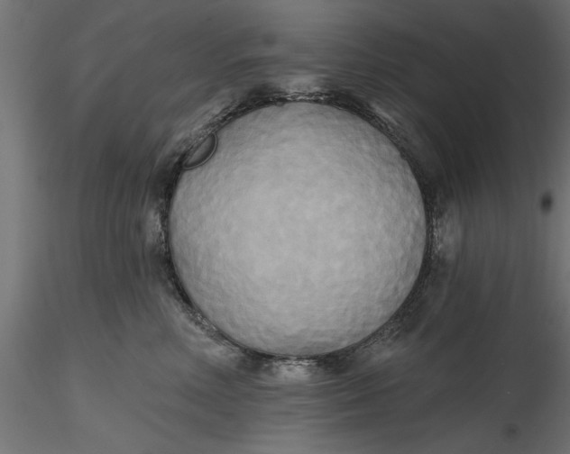 X0000116850618201001051507