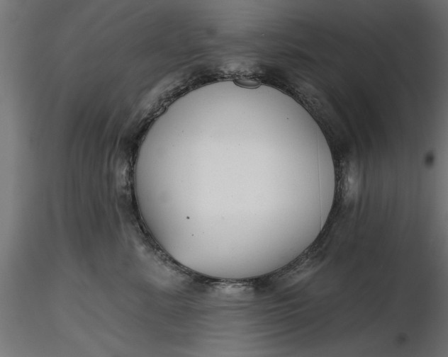 X0000116850619201001051507