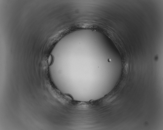 X0000116850620201001051507