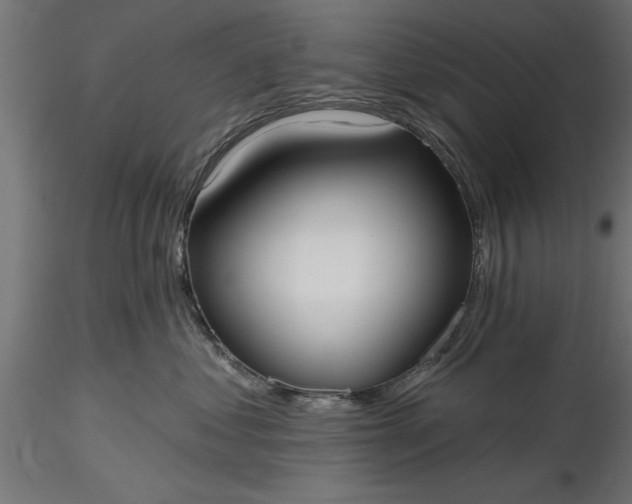 X0000116850621201001051507