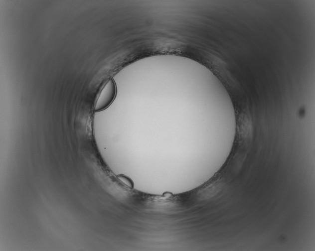 X0000116850622201001051507