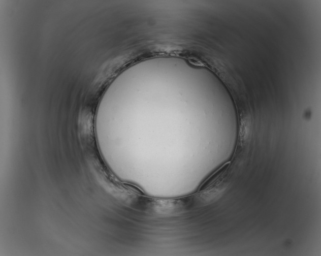 X0000116850623201001051507