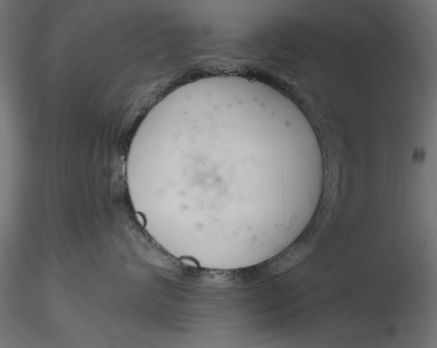 X0000116850624201001051507