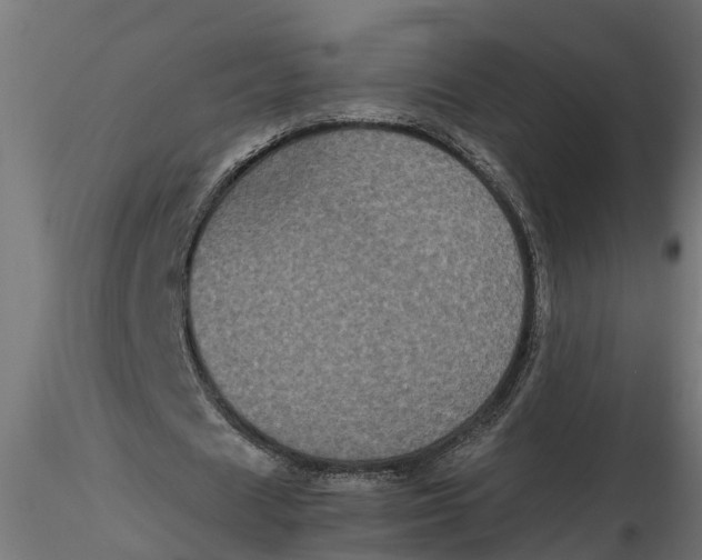 X0000116850625201001051507