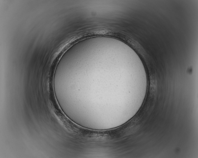 X0000116850626201001051507