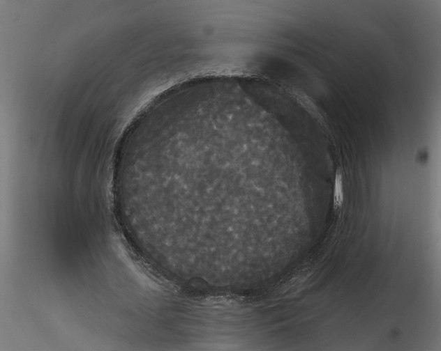 X0000116850627201001051507