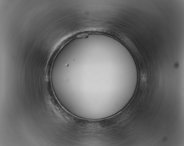 X0000116850628201001051507