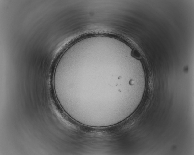 X0000116850629201001051507