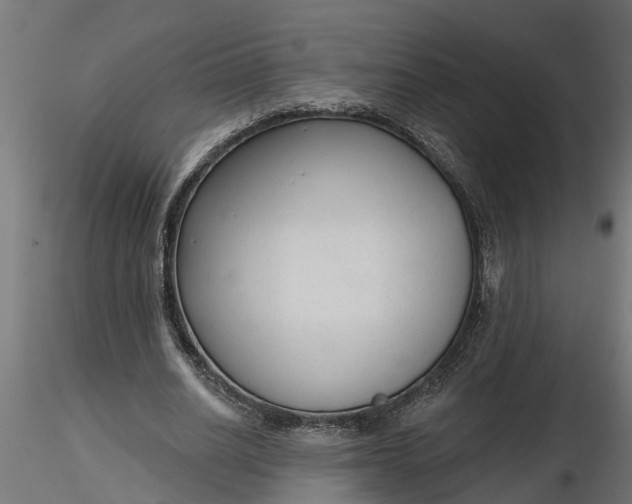 X0000116850630201001051507