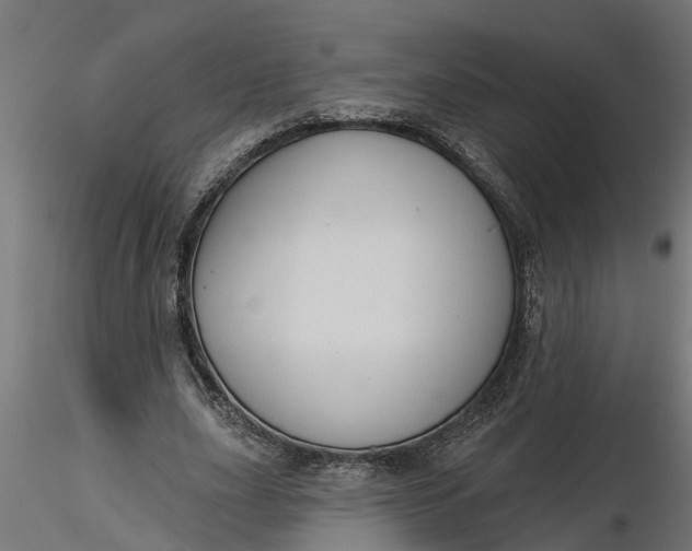 X0000116850631201001051507