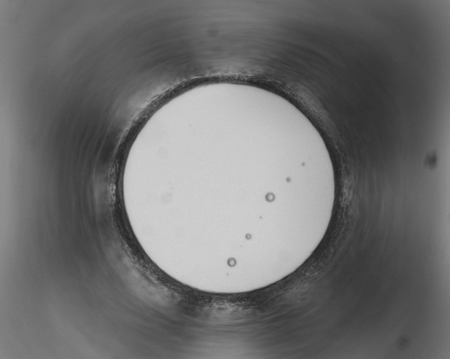 X0000116850632201001051507