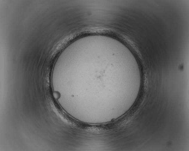 X0000116850633201001051507