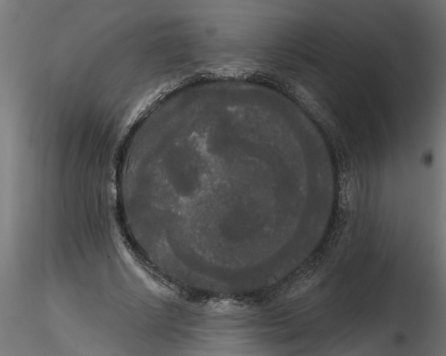 X0000116850634201001051507