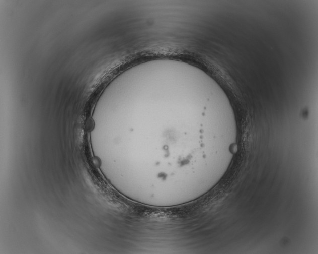 X0000116850635201001051507