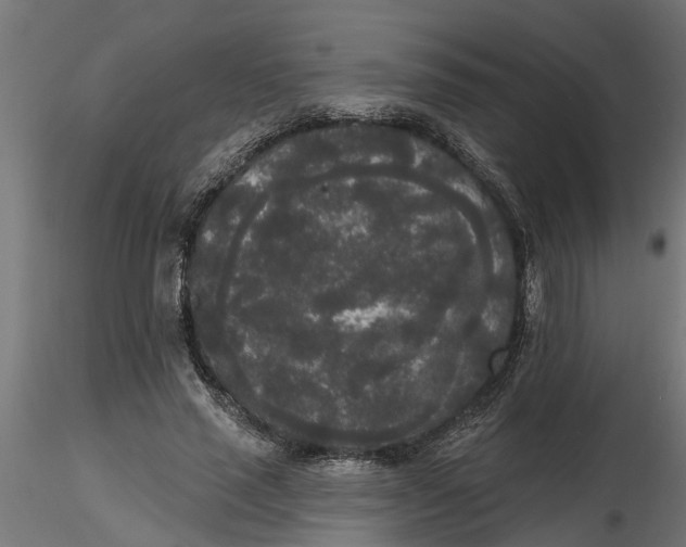 X0000116850637201001051507