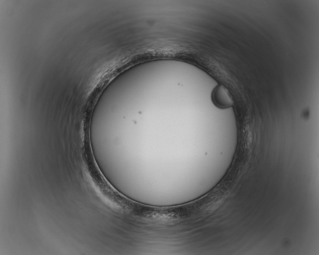 X0000116850638201001051507