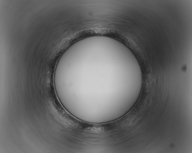 X0000116850639201001051507