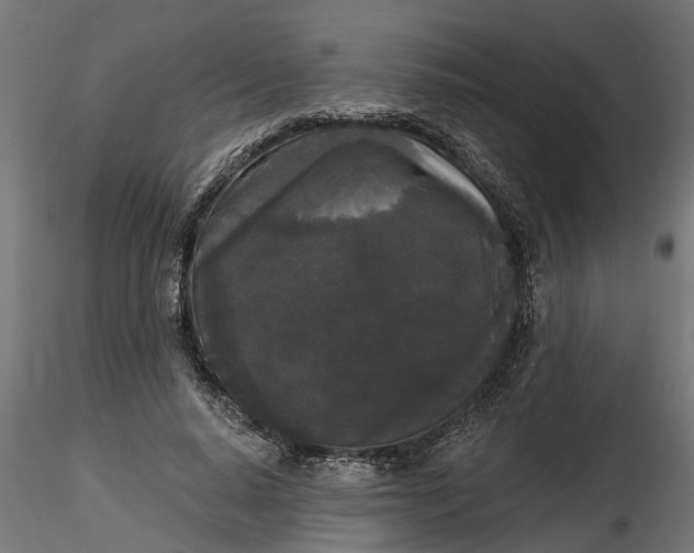 X0000116850640201001051507