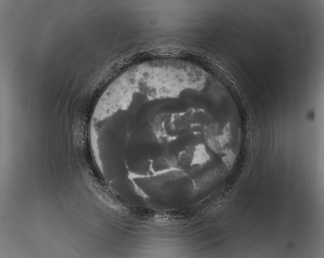 X0000116850641201001051507