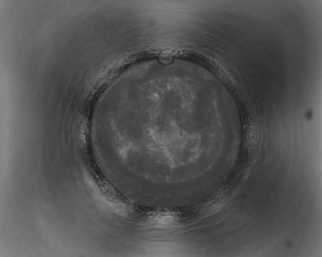 X0000116850643201001051507