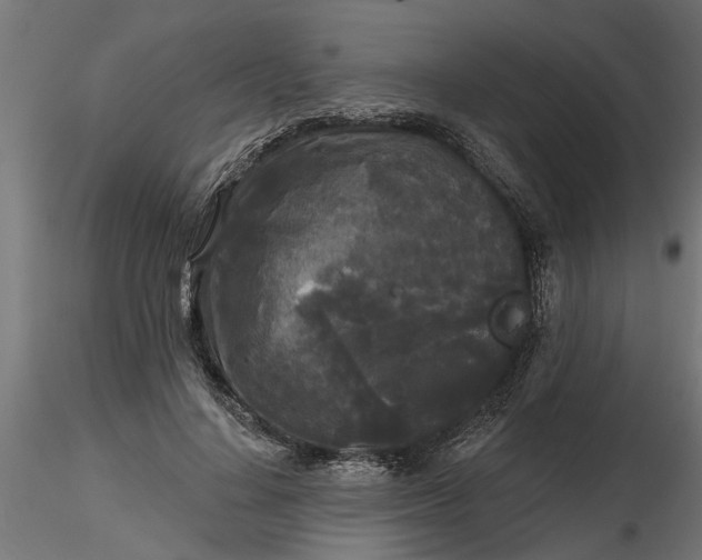 X0000116850644201001051507