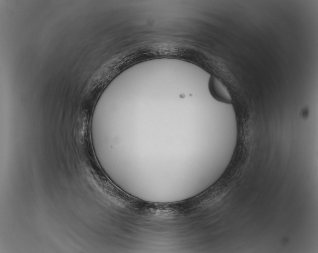 X0000116850645201001051507