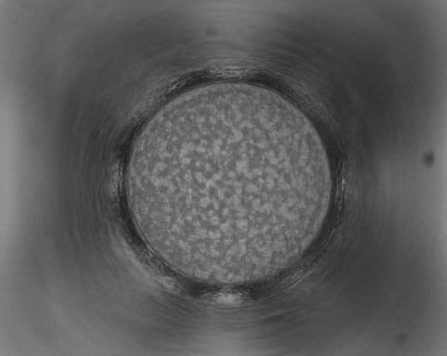 X0000116850647201001051507