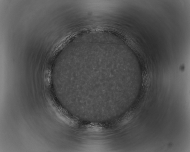 X0000116850648201001051507