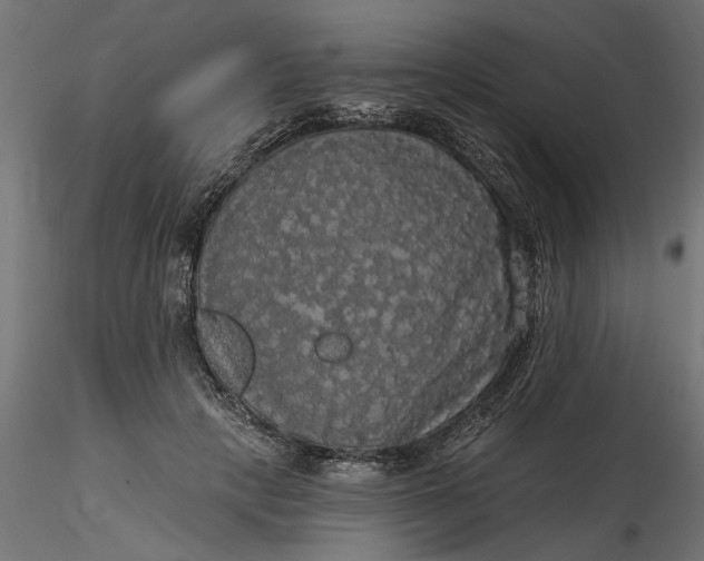 X0000116850649201001051507