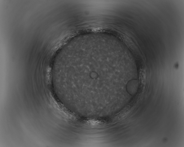 X0000116850650201001051507