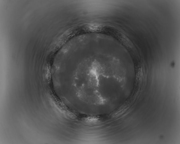 X0000116850651201001051507