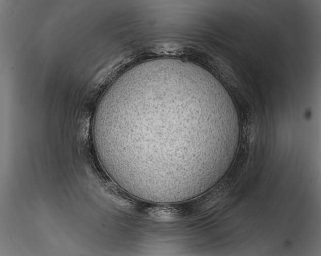 X0000116850652201001051507