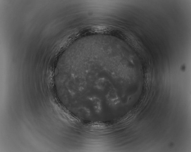 X0000116850653201001051507