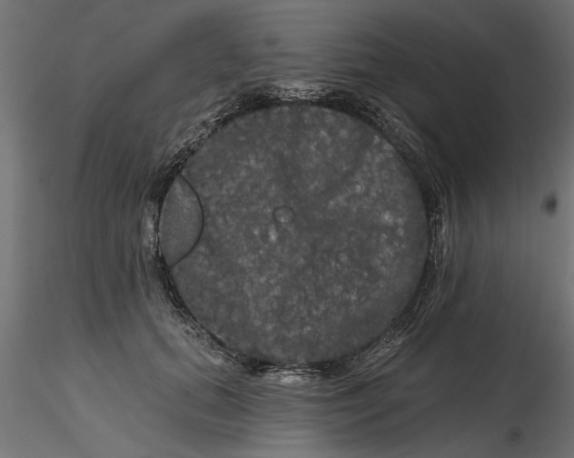 X0000116850655201001051507