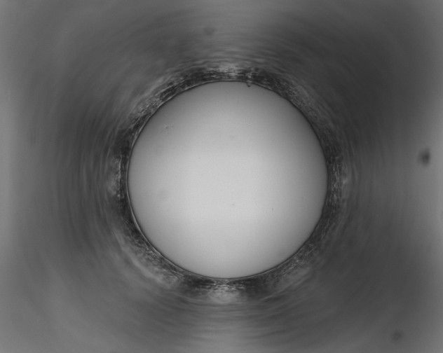 X0000116850656201001051507